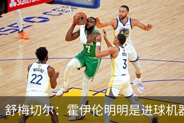舒梅切尔：霍伊伦明明是进球机器，维韦尔来了偏要换成谢什科