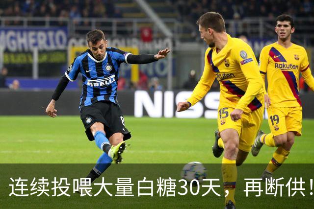 连续投喂大量白糖30天，再断供！国外网红扮“蚂蚁天神”整蛊野生蚁群