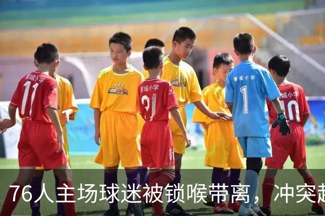 76人主场球迷被锁喉带离，冲突起因仍无官方说法